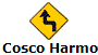 Cosco Harmony