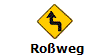 Roweg