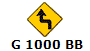 G 1000 BB