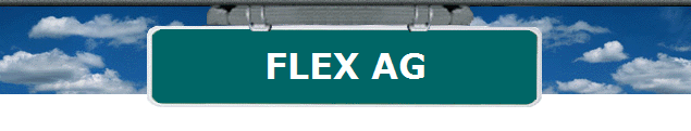 FLEX AG