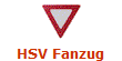 HSV Fanzug
